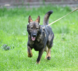 Similar image 21280360