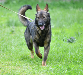 Similar image 21280361