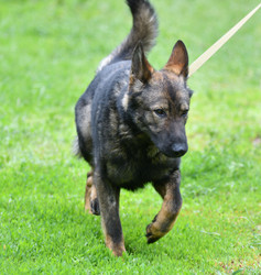 Similar image 21280362