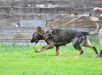 Similar image 21280363