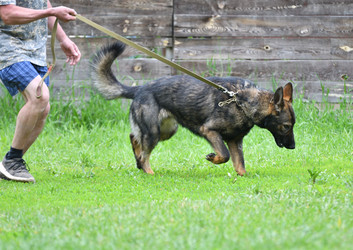 Similar image 21280364