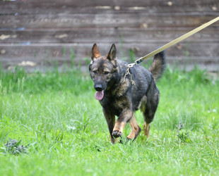 Similar image 21280365