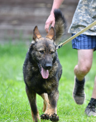 Similar image 21280366