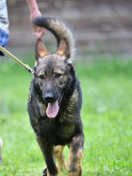 Similar image 21280367