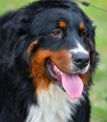 Similar image 21292085