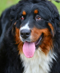 Similar image 21292093