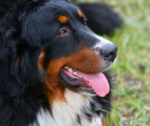 Similar image 21292096