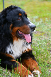 Similar image 21292099