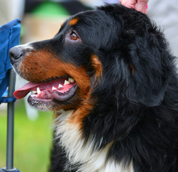 Similar image 21292101