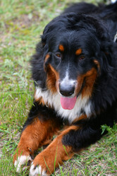 Similar image 21292104