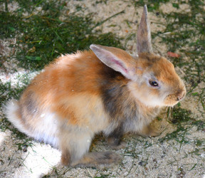 Similar image 21273475