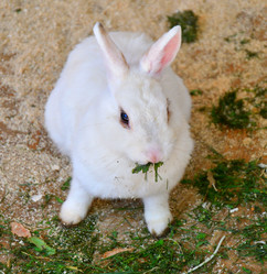 Similar image 21273477