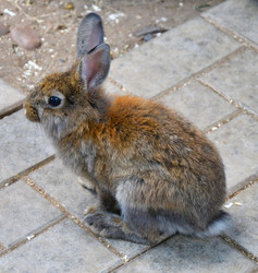 Similar image 21273480