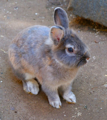 Similar image 21273482