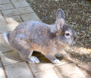 Similar image 21280293