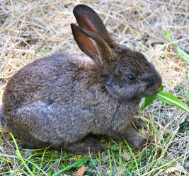 Similar image 21280297