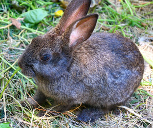 Similar image 21280298