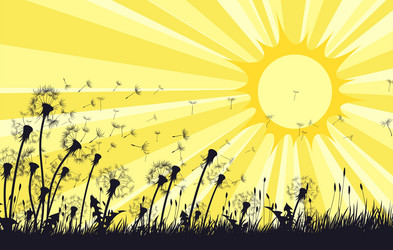 Similar image 21273826