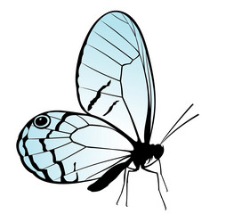 Similar image 21273830