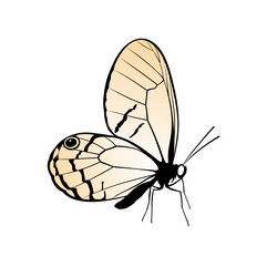 Similar image 21273831