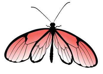 Similar image 21273845