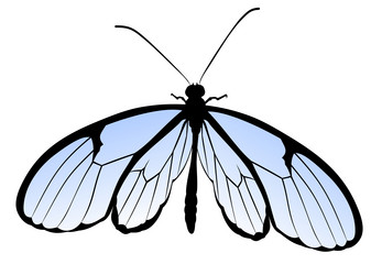 Similar image 21273846