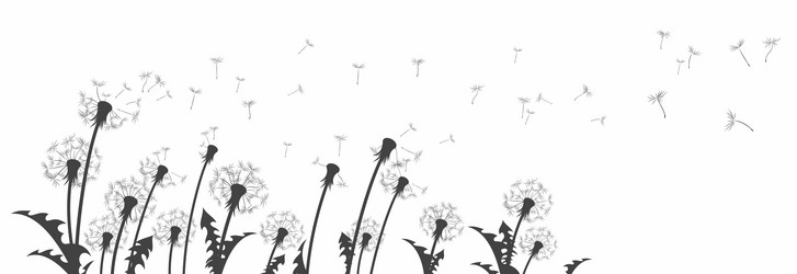 Similar image 21273850