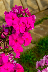 Similar image 21292483