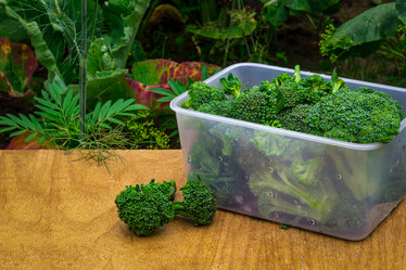 Similar image 21292485