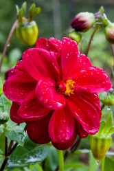 Similar image 21261314