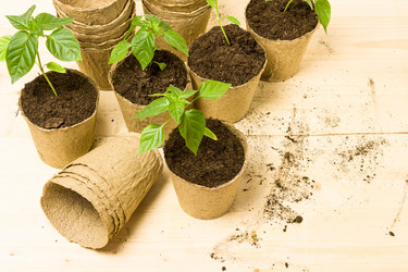 Similar image 21261316