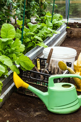 Similar image 21261325