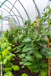 Similar image 21261327