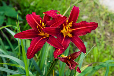 Similar image 21262509