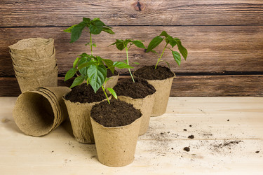 Similar image 21262521