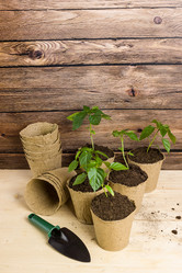 Similar image 21262522