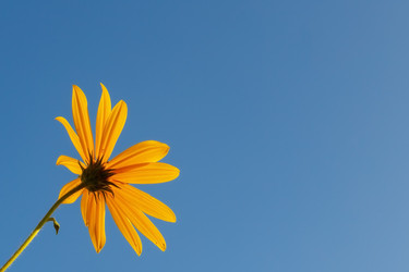 Similar image 21281104