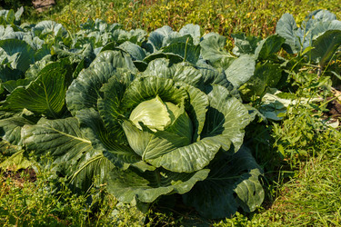 Similar image 21281105