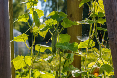 Similar image 21281117