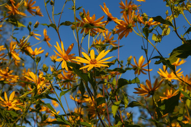 Similar image 21281238