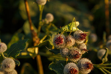 Similar image 21281239