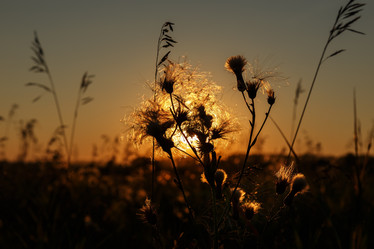 Similar image 21281240