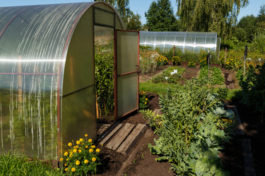 Similar image 21281248