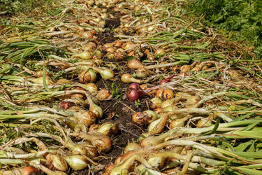 Similar image 21281249