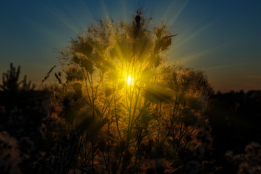 Similar image 21281250