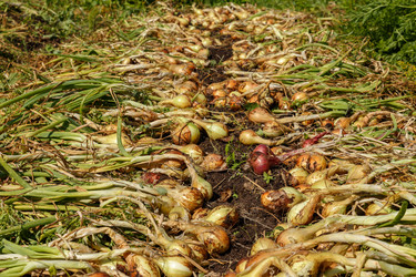 Similar image 21281255