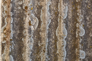 Similar image 21281261