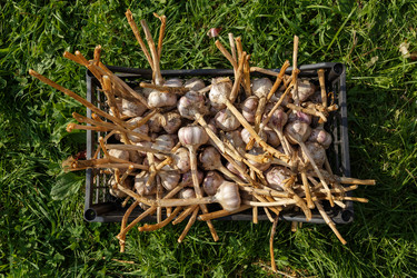 Similar image 21281267