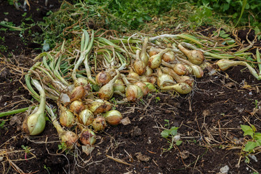 Similar image 21281269