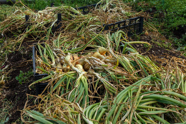 Similar image 21281271